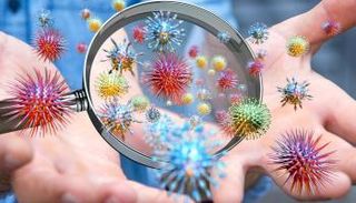 كورونا حول العالم