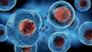 مخاوف عالمية من جموح العلم في الخلايا الجذعية.. يتقدم بسرعة كبيرة