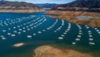 ظاهرة "مثيرة للقلق".. الجفاف يحاصر كاليفورنيا