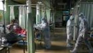 مصر تكشف عدد حالات الاشتباه في الإصابة بالفطر الأسود