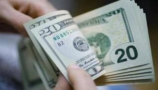 استقرار سعر الدولار في مصر