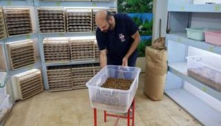 رجل الأعمال الكويتي جاسم محمد بوعباس