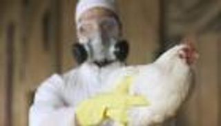 الصين تسجل أول إصابة بشرية في العالم بسلالة "H10N3" من إنفلونزا الطيور