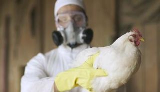 الصين تسجل إصابة بشرية بسلالة إتش 10إن3