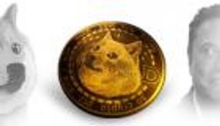 "دوجكوين" تحلق بعد تغريدة ماسك وهذا القرار المفاجئ