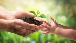 استعادة الموائل الطبيعية هدف يوم البيئة العالمي هذا العام