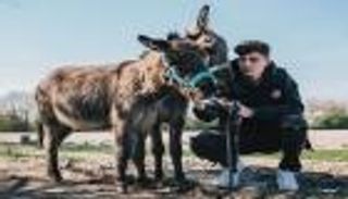 "عاشق الحمير".. 4 حقائق طريفة عن هافيرتز بطل موقعة الأبطال