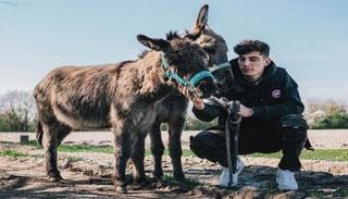 كاي هافيرتز 