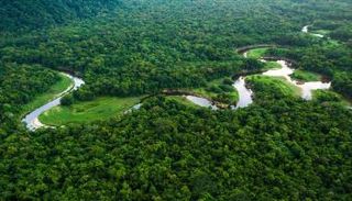 منطقة الأمازون البرازيلية