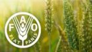 أسعار الغذاء لأعلى مستوى في 10 سنوات.. تحالف الجفاف وكورونا