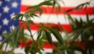 "أمازون" تدعم مشروع قانون لتقنين الحشيش في أمريكا