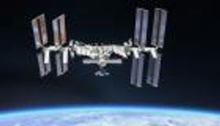 إرسال كميات من "الحبار" إلى محطة الفضاء الدولية.. ما السبب؟