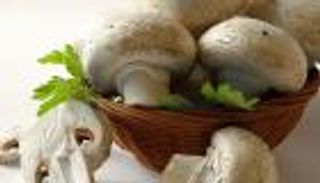 روبوتات لجمع عيش الغراب في أمريكا.. أزمة عمال