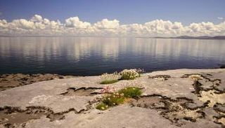 السياحة في أيرلندا.. مناظر خلابة