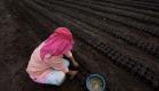 في اليوم العالمي لسلامة الغذاء.. هل تكفي ثروات الأرض لبقاء البشر؟ 