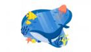 إنفوجراف.. أهداف اليوم العالمي للمحيطات