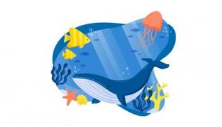 اليوم العالمي للمحيطات