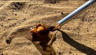  كوكب الأرض يخسر 12 مليون هكتار من الأراضي الخصبة بسبب التصحر سنوياً