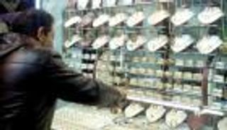 أسعار الذهب في المغرب اليوم الثلاثاء 8 يونيو 2021