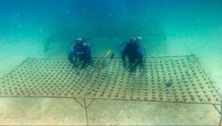 مشروع إماراتي لإعادة تأهيل الشعاب المرجانية 