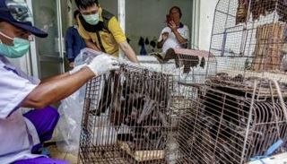 صورة أرشيفية لأسواق ووهان