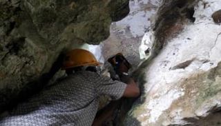 عالم آثار يفحص أقدم رسوم الكهوف في العالم