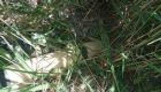 بصمات مليشيات إيران.. العراق يحبط قصف قاعدة جوية بصلاح الدين