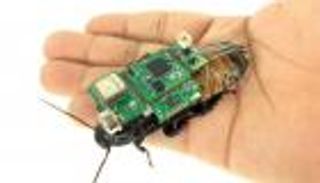 "صراصير" تتفقد البشر تحت الأنقاض.. مزودة بـ"حقيبة ظهر"