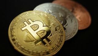 القراصنة لا يفضلون 