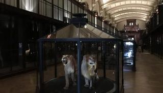 إحياء 11 نوعاً منقرضاً من الحيوانات في باريس