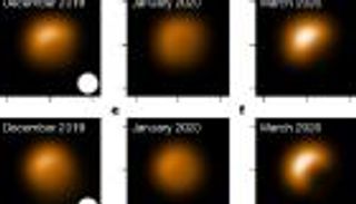 "حجاب من الغبار".. حل لغز التعتيم العظيم لـ"منكب الجوزاء"