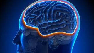 الحاجز الدموي الدماغي مهم لحماية المخ لكنه يمنع دخول الأدوية