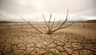 17 يونيو اليوم العالمي للتصحر