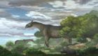 حفريات تكشف فصيلاً جديداً من وحيد القرن العملاق المنقرض