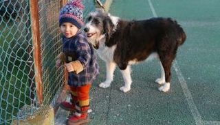 الطفل البرتغالي نوا