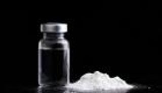 900 خنزير تكشف جريمة دولية