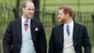 تمثال الأميرة ديانا.. هل سيكون فرصة للمصالحة بين وليام وهاري؟