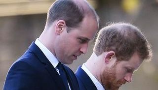  ويليام وهاري- أرشيفية