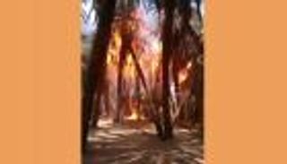 حريق يلتهم 15 ألف نخلة بشمالي السودان