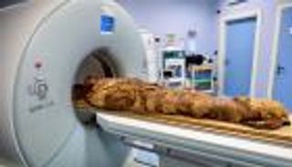 صور.. مومياء مصرية تستعد لكشف أسرارها من إيطاليا