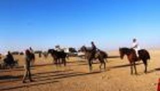 خيول الرقة السورية تستعيد سباقها من جديد