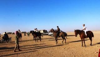 خيول الرقة السورية تستعيد سباقها من جديد