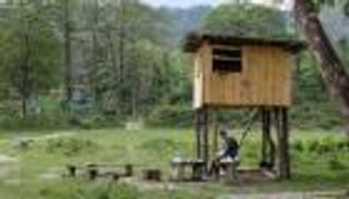 ملك في الأدغال.. 14 شهرا لملاحقة كورونا