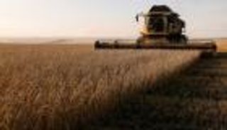 أسوأ تدهور للأمن الغذائي في تاريخ سوريا.. ندرة محاصيل ومساعدات