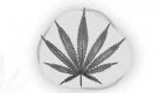 إنفوجراف.. علامات تعاطي المخدرات