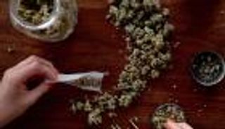 اليوم العالمي لمكافحة المخدرات.. لكوكب خال من الإدمان