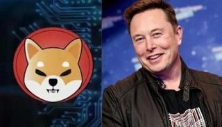 إيلون ماسك يدعم عملة شيبا إينو