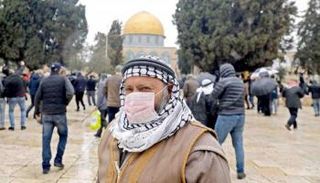 سلالة دلتا المتحورة من فيروس كورونا المستجد تظهر في فلسطين