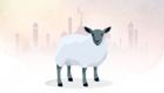 إنفوجراف.. 12 نصيحة عند شراء أضحية مناسبة للعيد‎‎