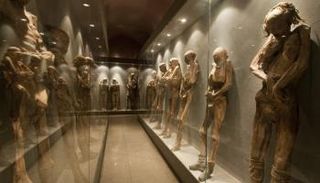 جانب من المتحف المرعب